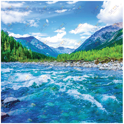 Wanderlust Designed Paper