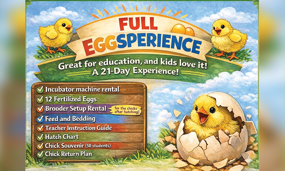 Full Egg Hatch Experience for Classrooms: A 21-Day Hands-On Learning Journey