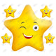 Our work shines....Star CENTERPIECE 24x28