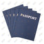 Passport Books (Blank Pages) (12pk)