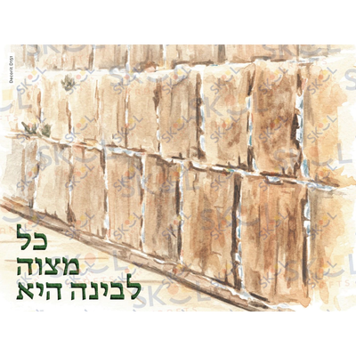 Asara B'Teves Brick poster Laminated 18" x 24"