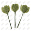 Single Leaf Green 2.75" 144 Pieces