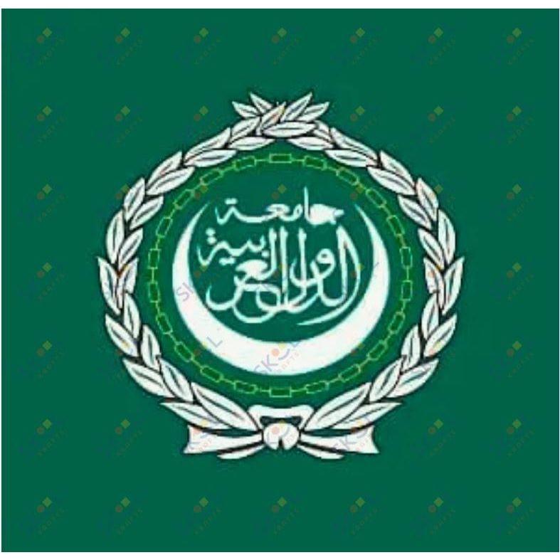 Arab League Flag 5' x 3'