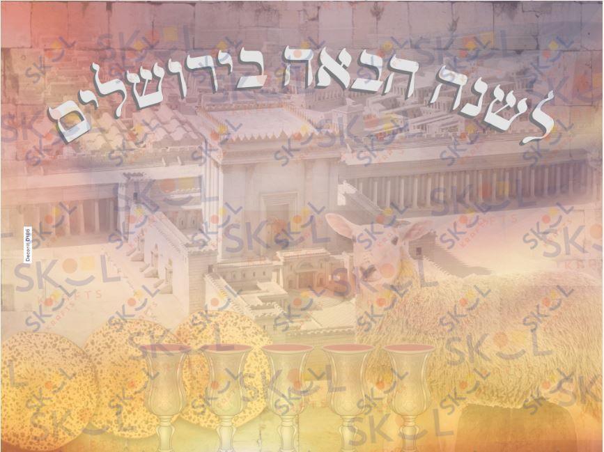 Lshana Haba poster