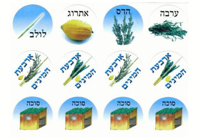 Sukkahs Stickers