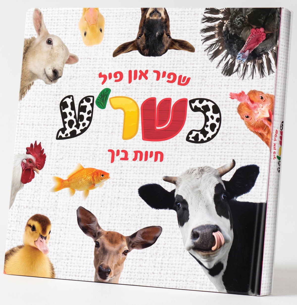 My First Touch and Feel Animal Book Yiddish