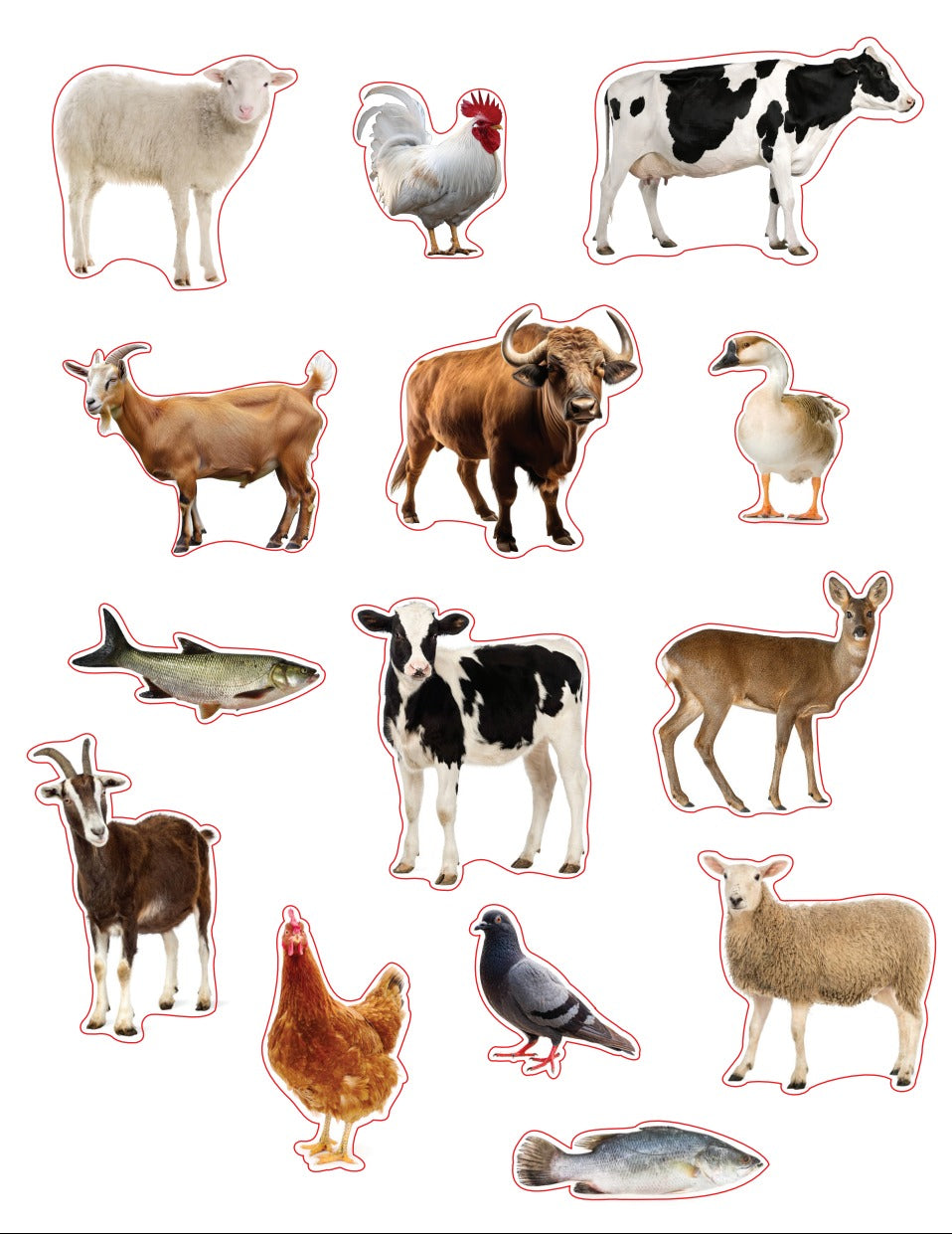 Kosher Farm Animals Die Cut Color Print 10/pk