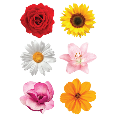 Colorful Flower Stickers 2" Round 50mm Color Print 10/pk