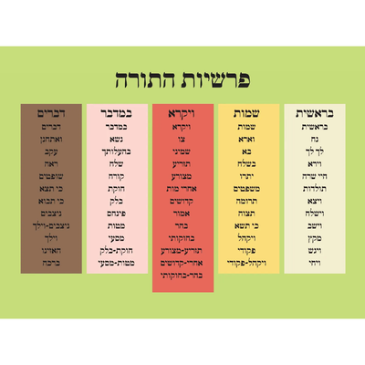 Parshios hatorah poster 2. 18'' x 24''