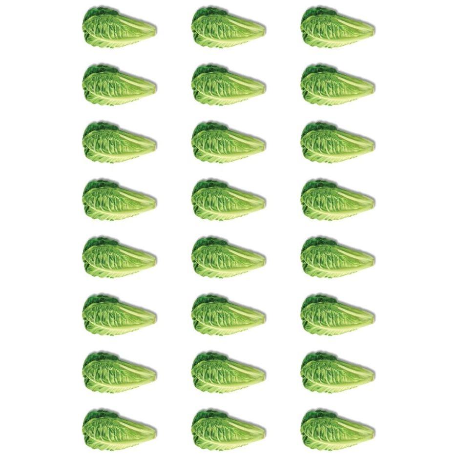 Lettuce Stickers Oval 35mm x 18mm Color Print 10/pk