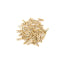 Mini Wooden Clothespins 1" 45/pk