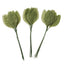Single Leaf Green 2.75" 144 Pieces