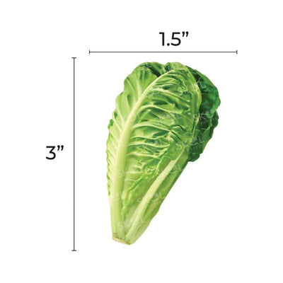 Paper Cutout Lettuce 3" 20/pk