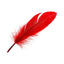 Feathers 14gr (Pink)