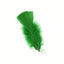 Feathers 14gr