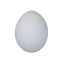 Styrofoam Egg White