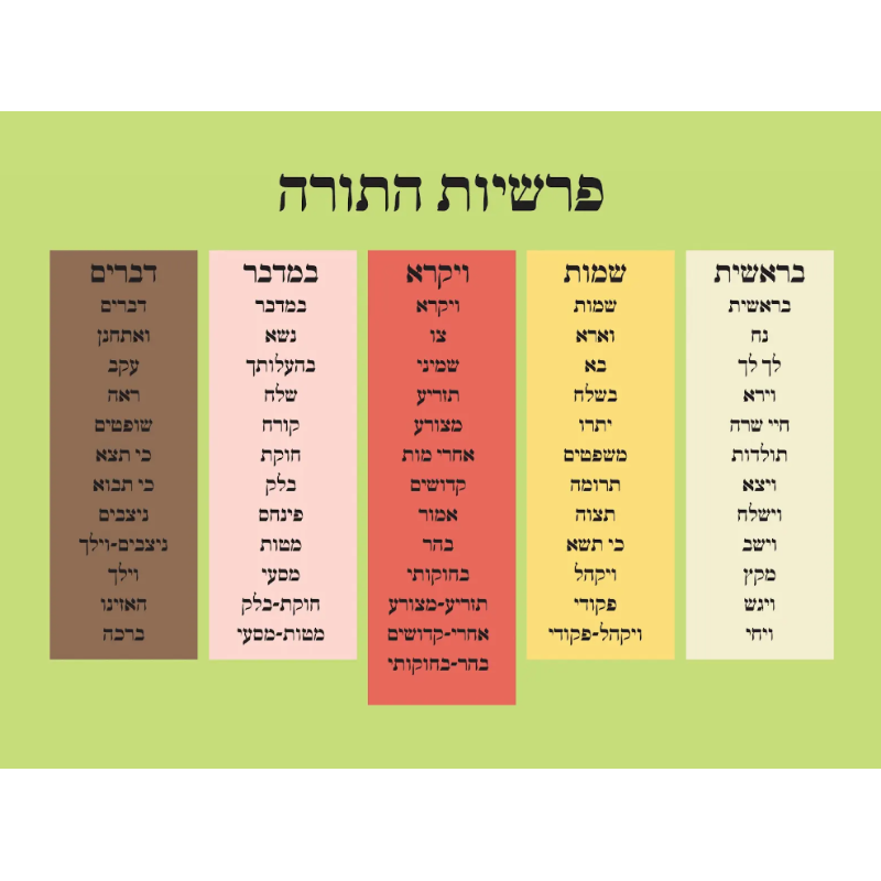 Parshios hatorah poster 2. 18'' x 24''