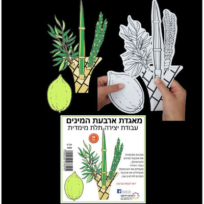 Arba Minim Sukkahs Crafts 36/pk