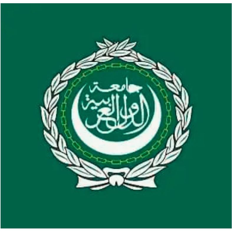 Arab League Flag 5' x 3'