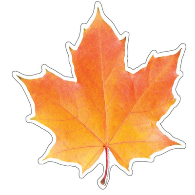 Photo Leaf Paper Cut-Outs 5" 36/pk