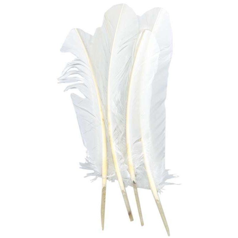 Feather round 12"-13" white 4pcs