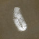 Feathers 14gr