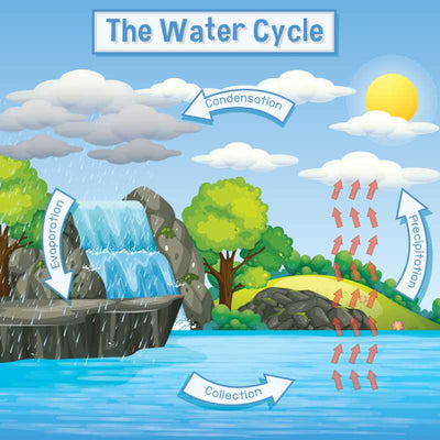 The water cycle poster - square right to left 24x24.
