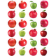 Red Apple and Pomegranate Stickers Round 25mm Color Print 10/pk