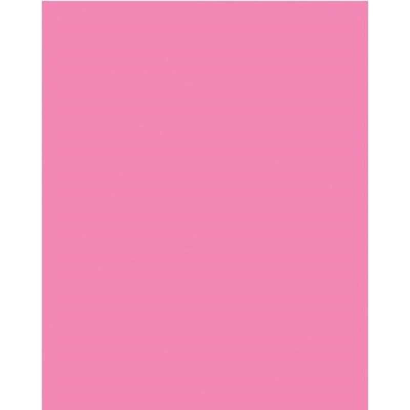 Neon Poster Board 25/pk (Pink)