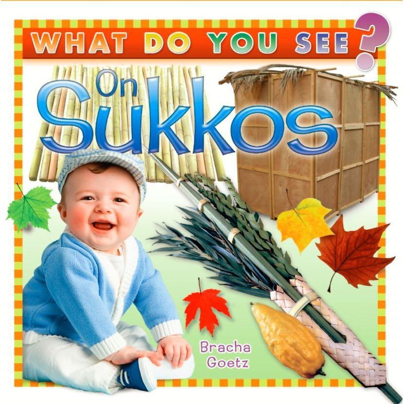 What Do You See on Sukkos book