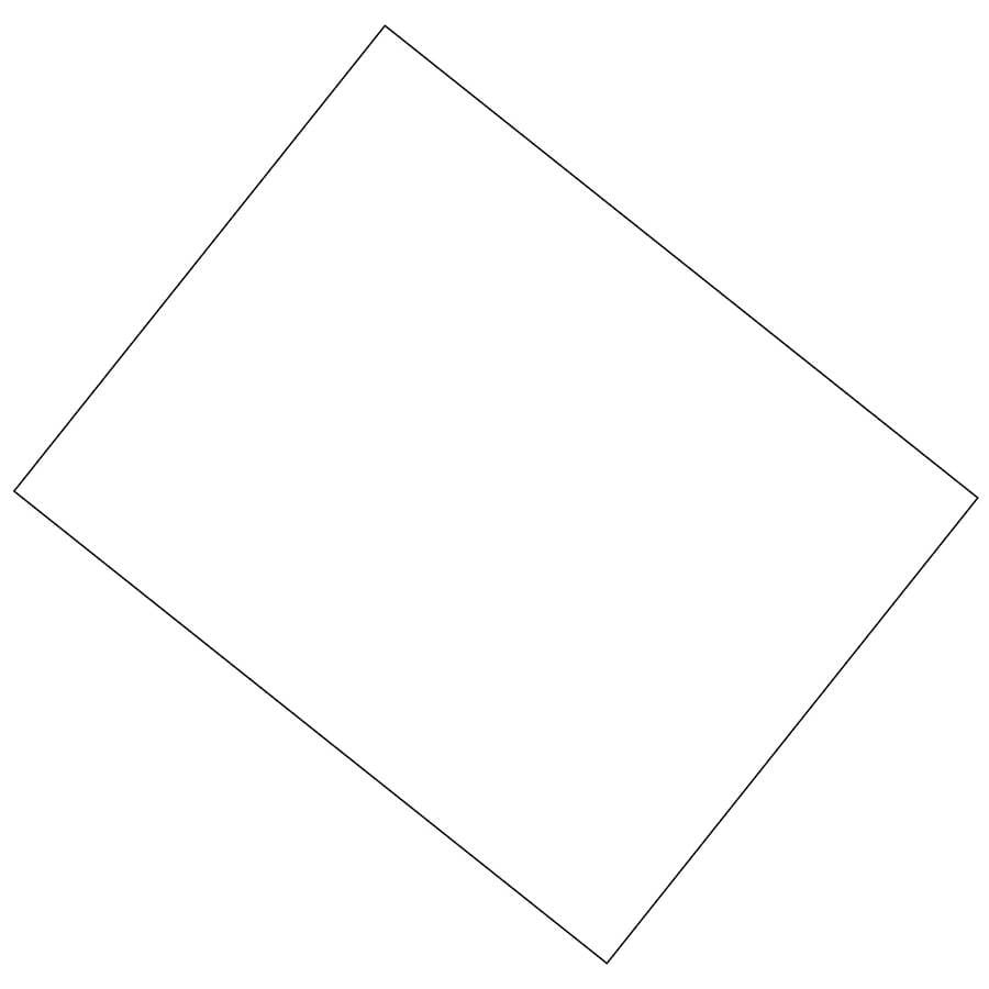 Poster Board 22" x 28"