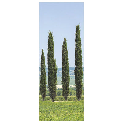 Garden Background, 30 ft. x 8 ft. 1/pk