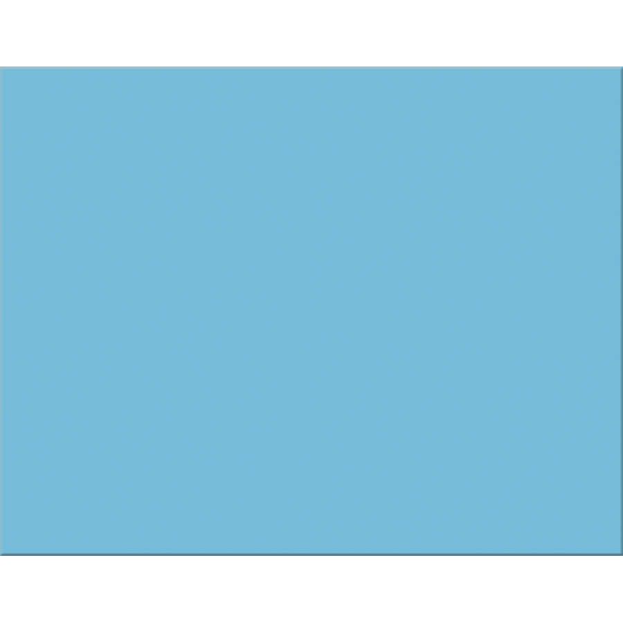 Poster Board 22" x 28" (Lt Blue, 100 Pack)