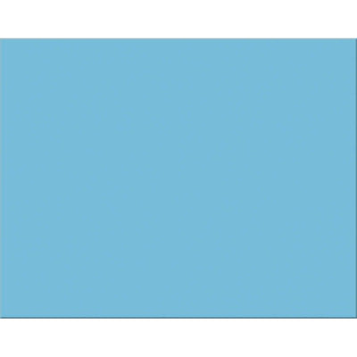 Poster Board 22" x 28" (Lt Blue, 100 Pack)