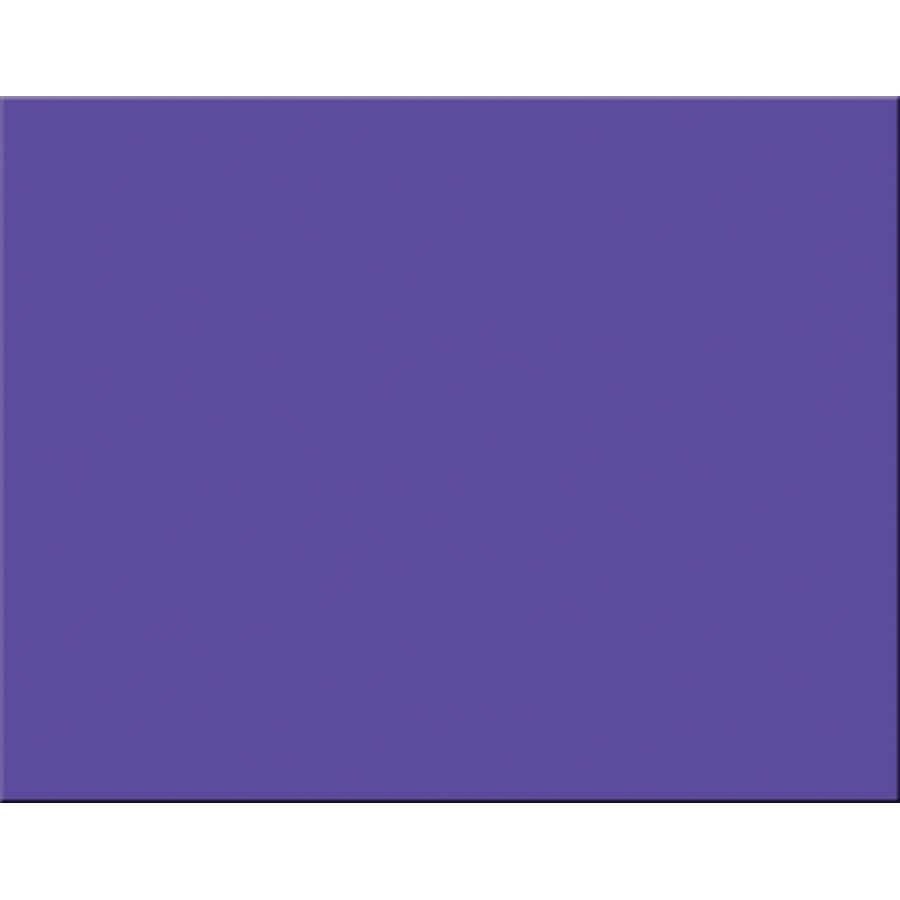 Poster Board 22" x 28" (Assorted, 100 Pack)