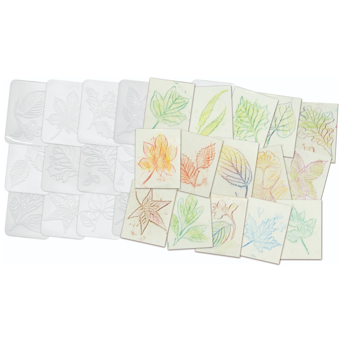 Leaf Rubbing Plates 16/pk