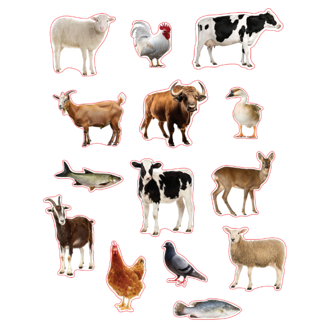 Kosher Farm Animals Die Cut Color Print 10/pk