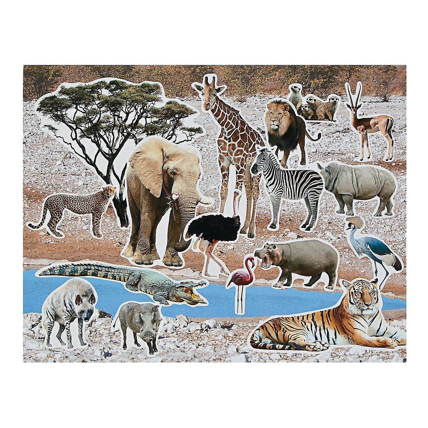 Realistic Safari Sticker Scenes, 11" x 8 1/2", 12/pk