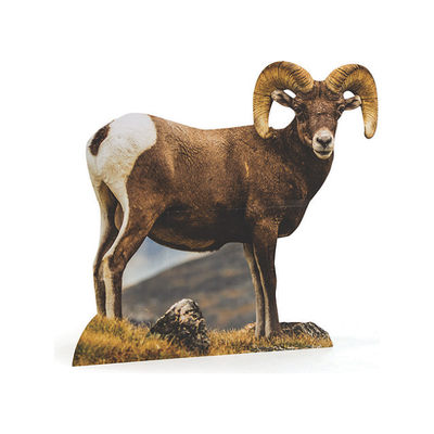 Bighorn Ram Cardboard Cutout Stand-Up 43 1/2" x 41" 1/pk