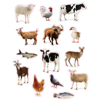 Wild Animal Die Cut Stickers Color Print 10/pk