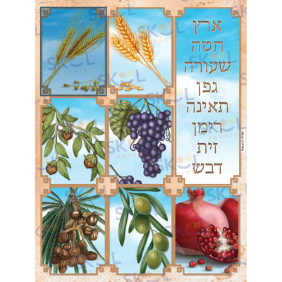 Shivas Haminim Poster (Sky) 18" x 24" Laminated
