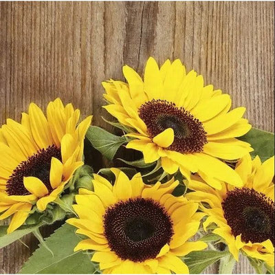 Sunflower Seeds