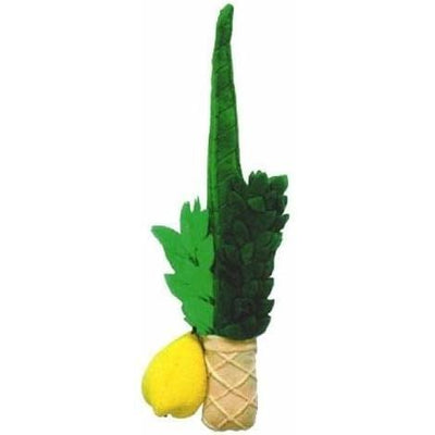 Soft Lulav And Etrog For Kids