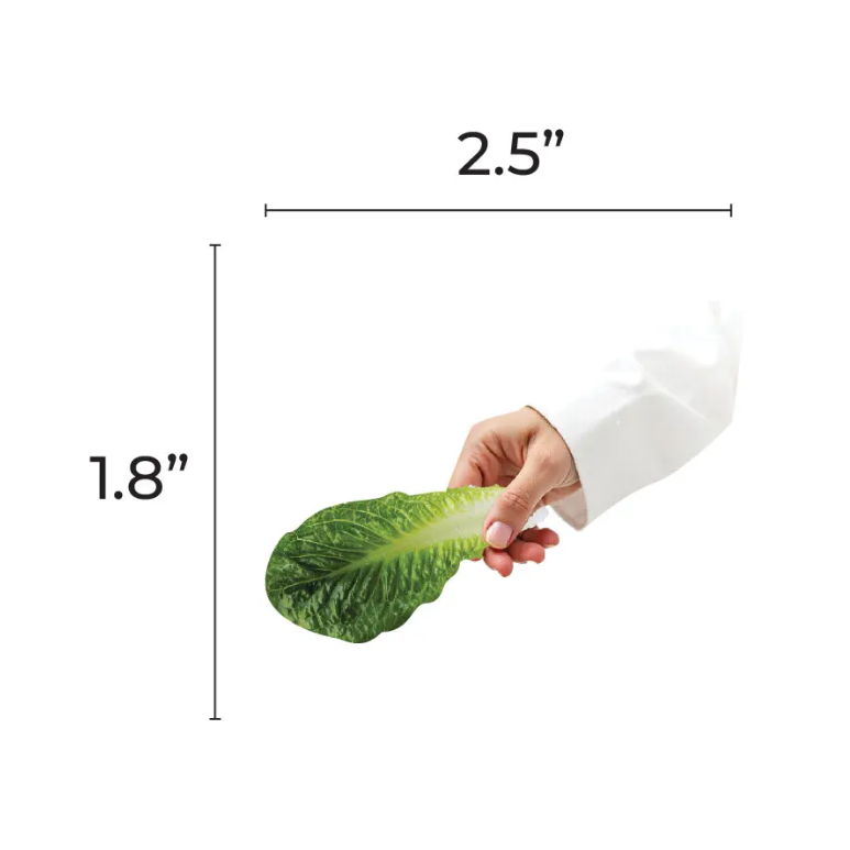 Murror Cutout 2.5-inch