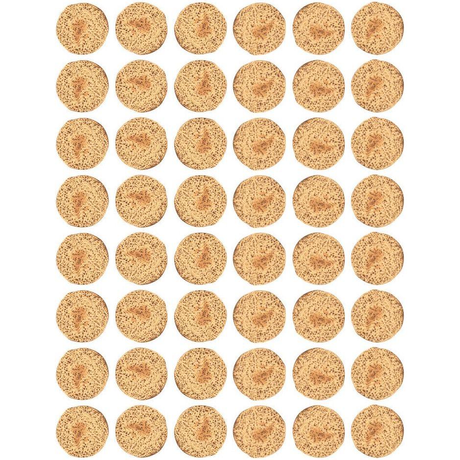 Matzos Stickers Round 19mm Color Print 10 /pk