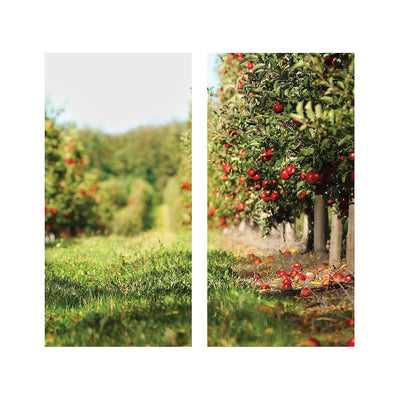 Apple Orchard Backdrop, Assembled 6 ft. x 6 ft. - 2 Pc.
