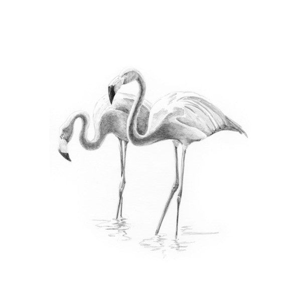 Flamingoes Mini Sketching Kit