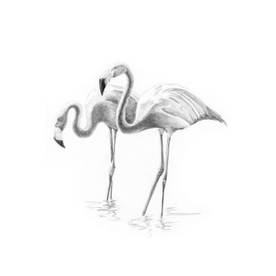 Flamingoes Mini Sketching Kit