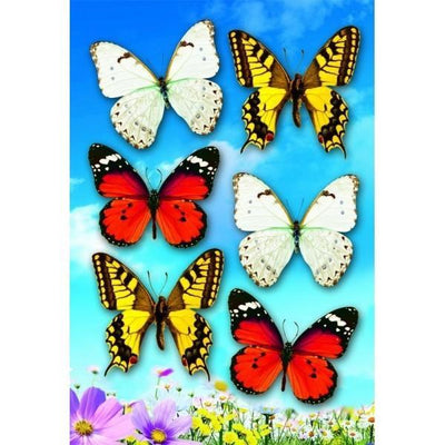 Butterfly Cutouts 18/pk Discontinued