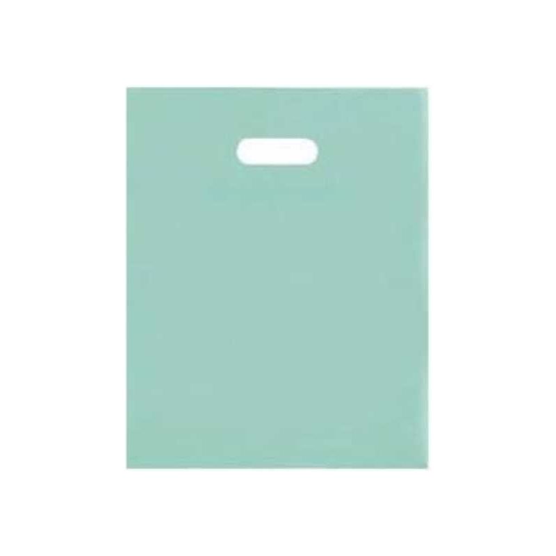 Frosted Bags (12" x 15", Aqua, 250 Pack)